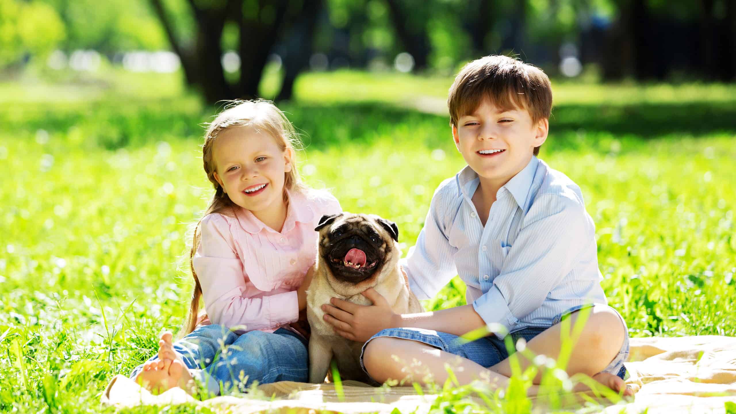 Pug and kids