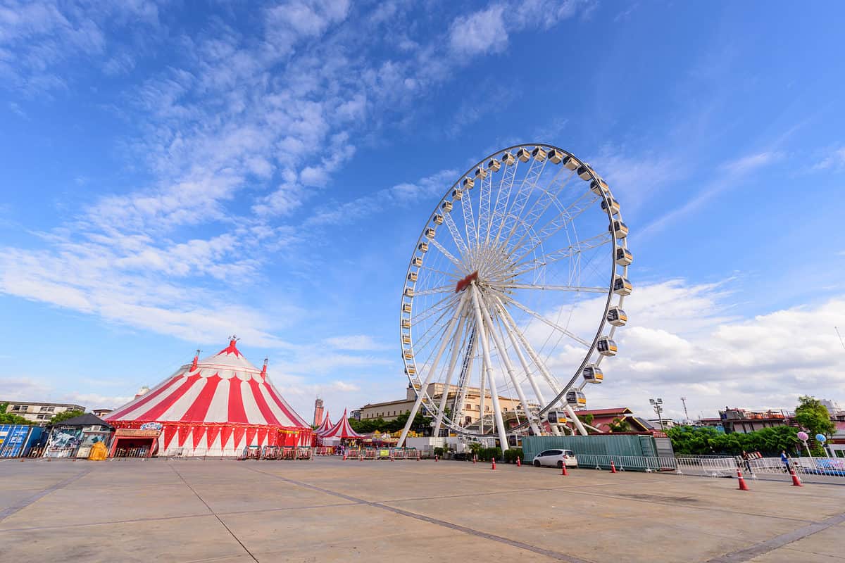 Ferris,Wheel,In,Amusement,Park