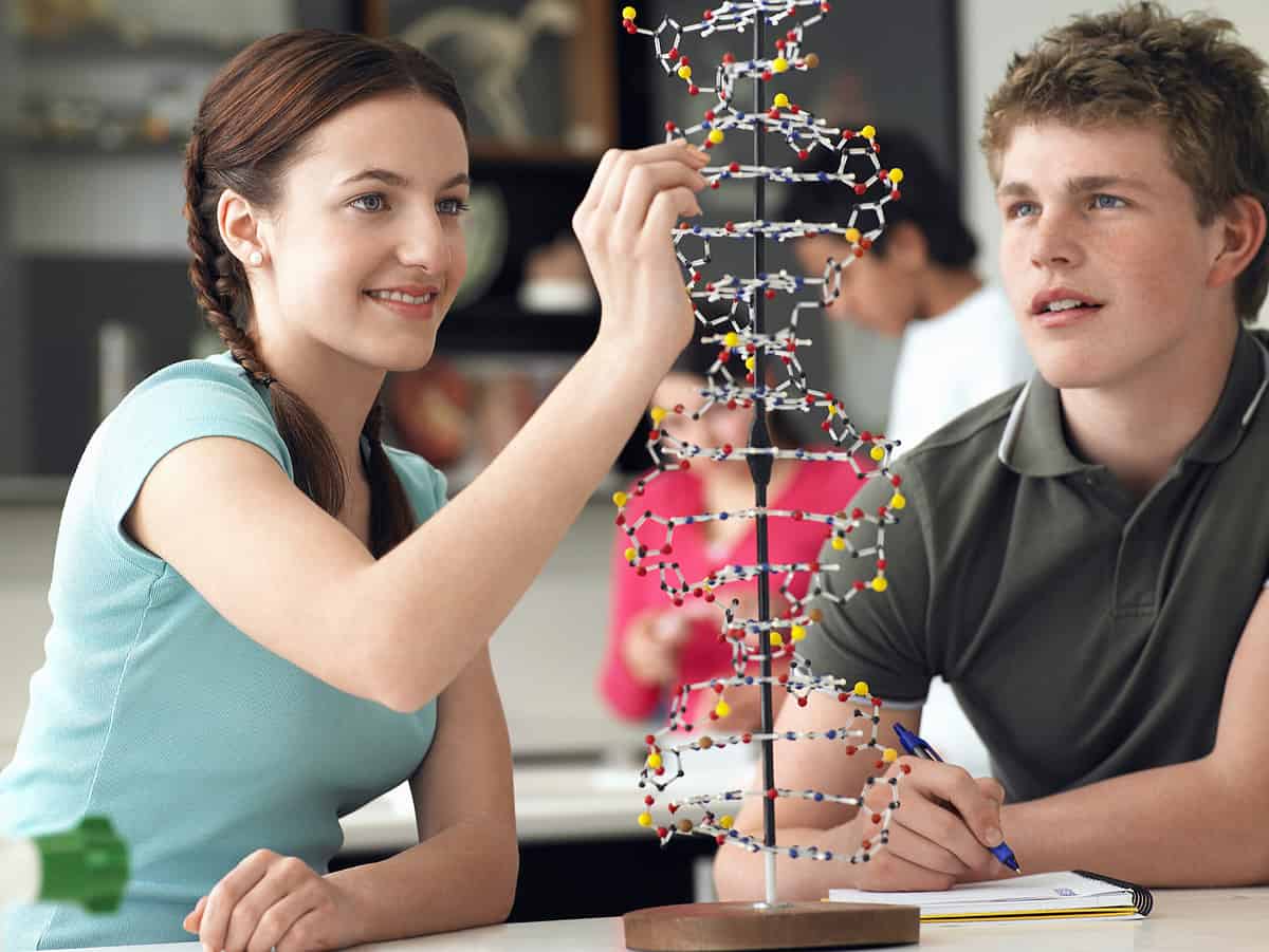 STEM students working on a DNA model.