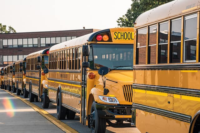 yellow buses lined up in front of the school ready for the first day