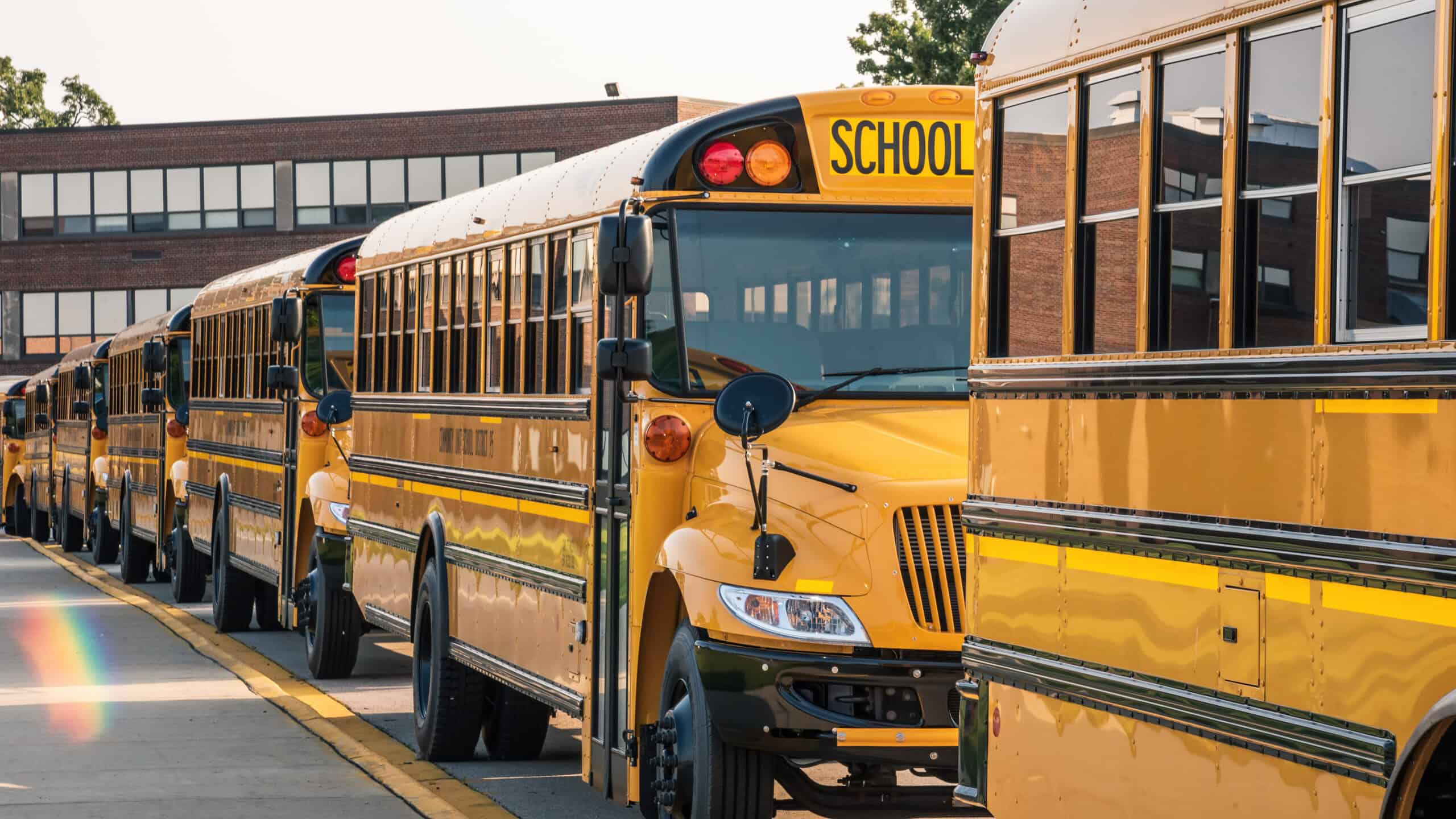 yellow buses lined up in front of the school ready for the first day