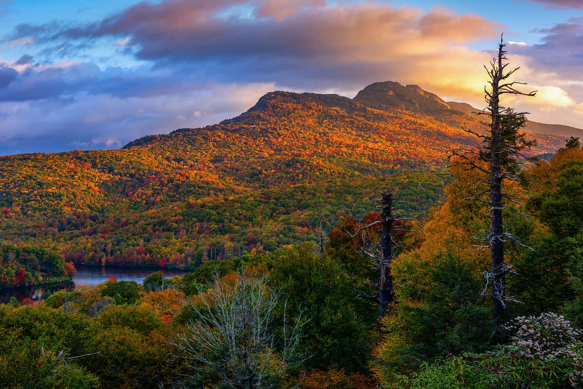 Morning light illuminates the autumn foliage along the side of Grandfather Mountain from along the Blue Ridge Parkway in North Carolina