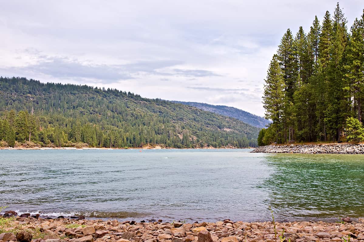 Bass Lake is located in the Sierra National Forest in California. Shot was taken on a overcast summer day low and near the water. Bass Lake is known for it's fishing, boating and recreation.