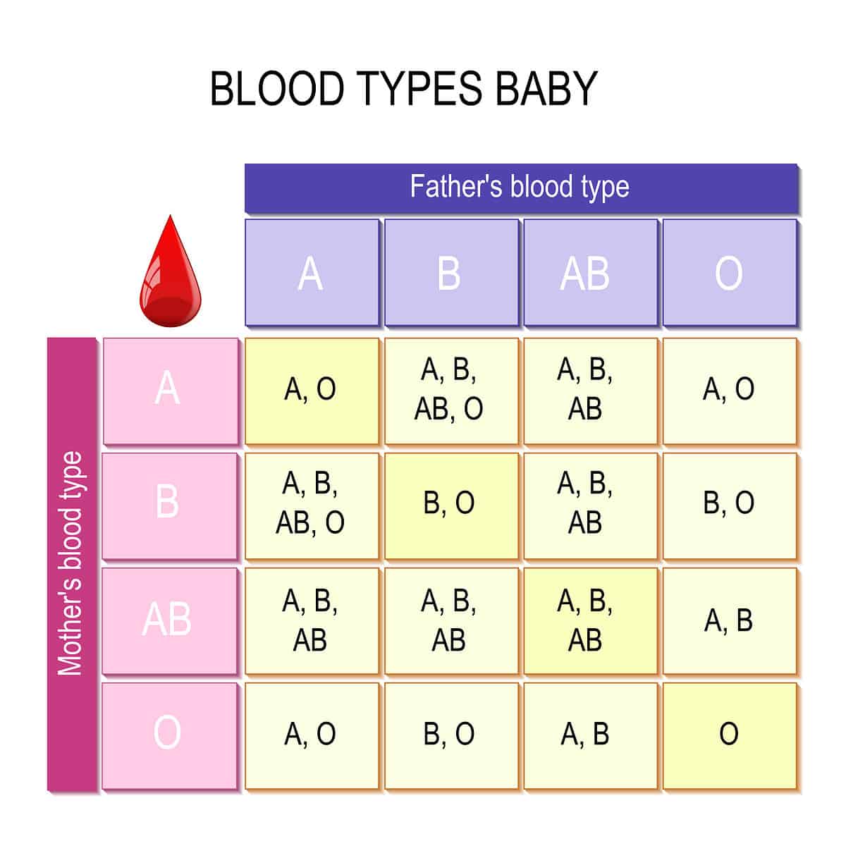 Blood type chart that shows how baby's blood type is determined