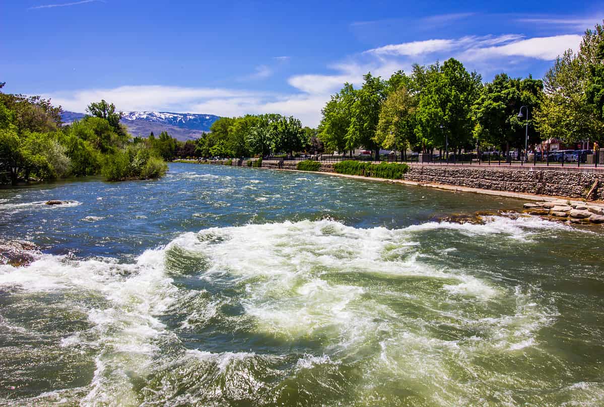 Rushing Waters Of Truckee River Along River Walk Reno