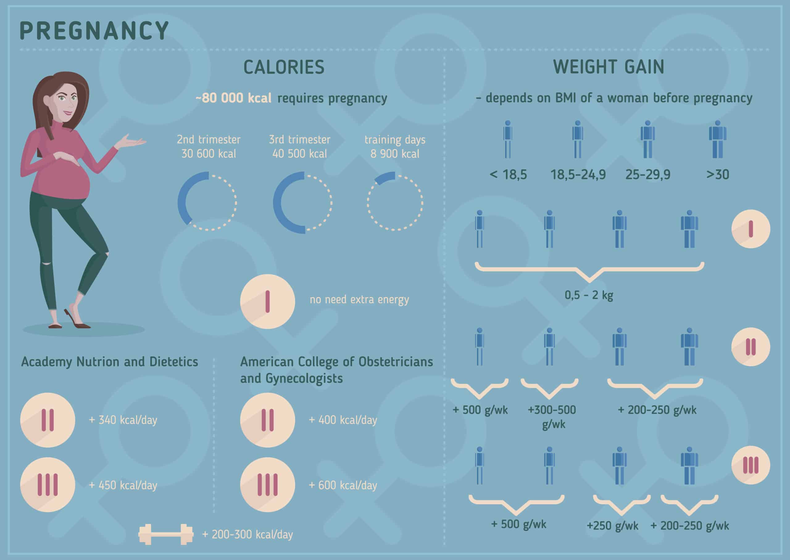 pregnancy weight gain illustration