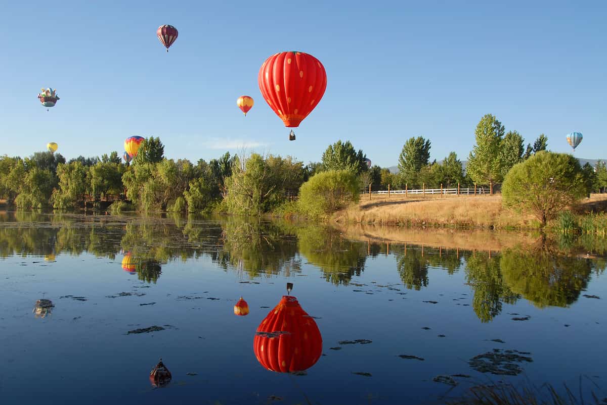 Balloons reflected in a lake, Reno, Nevada