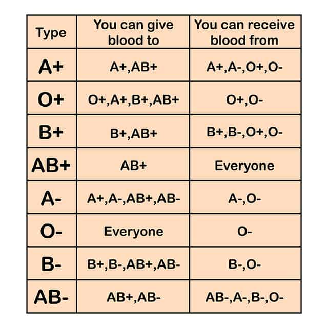 Blood Type Chart — What Are the Different Blood Types?
