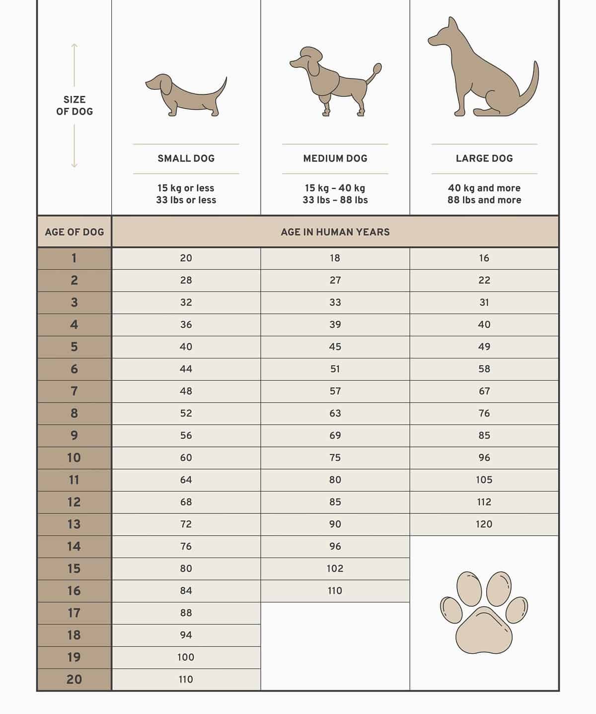 Animal Ages Birthdays And Hatchdays Conscious Companion 50 OFF animal-ages-birthdays-and-hatchdays-conscious-companion-50-off