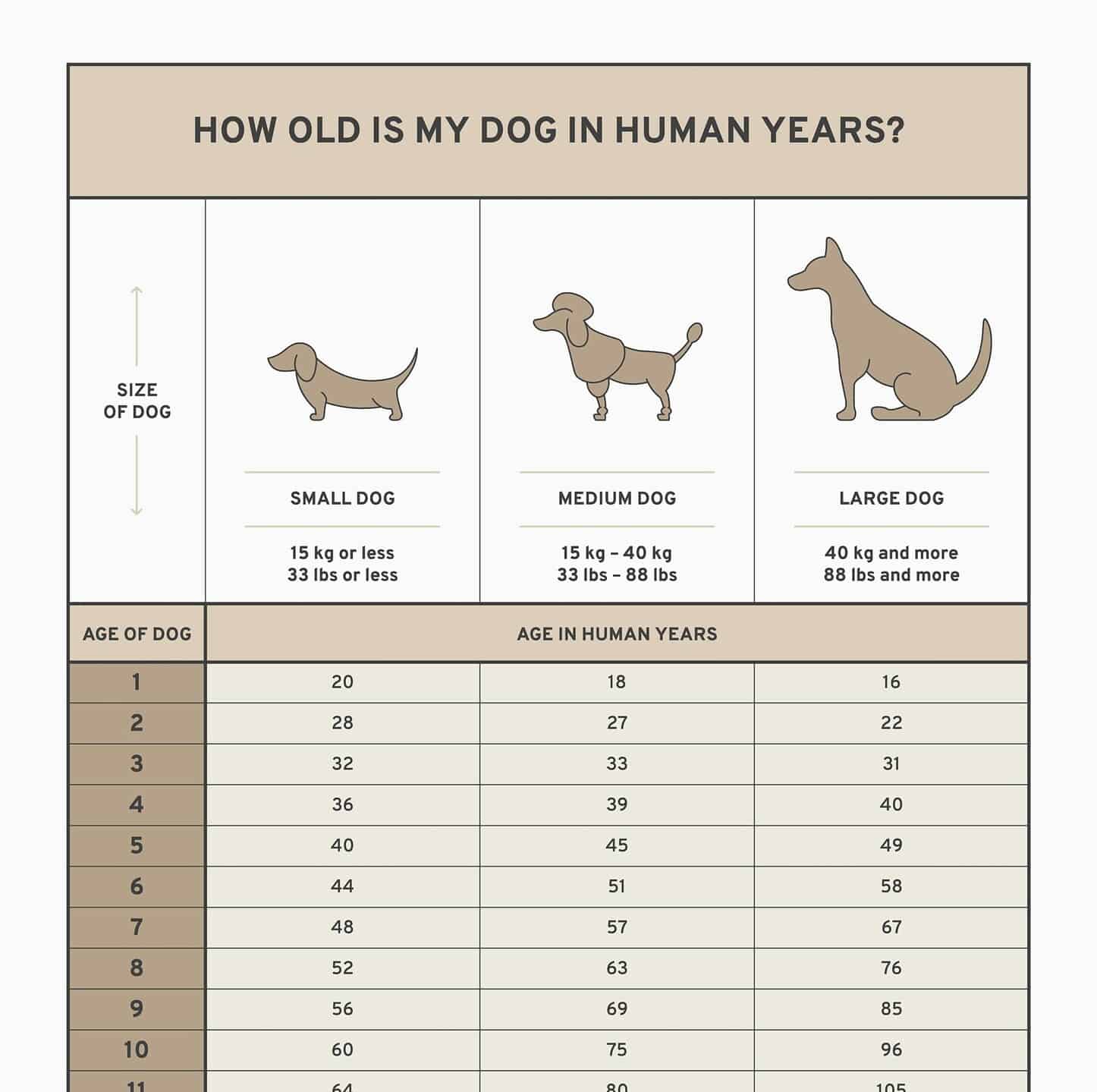 Dog Age Chart To See How Old Your Pup Really Is Moms Who Think