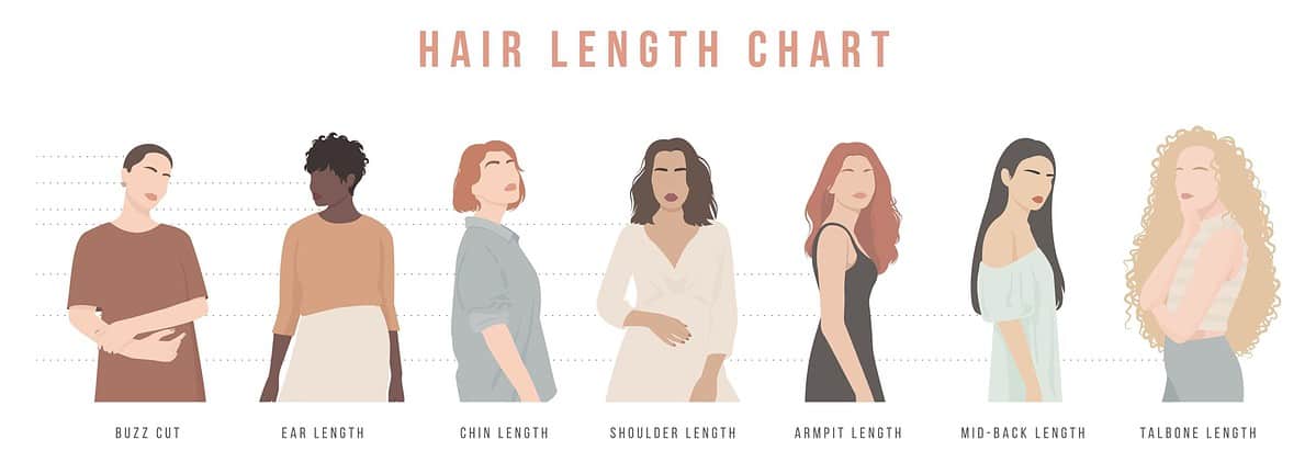 Chart of hair length for haircuts and hairstyles.