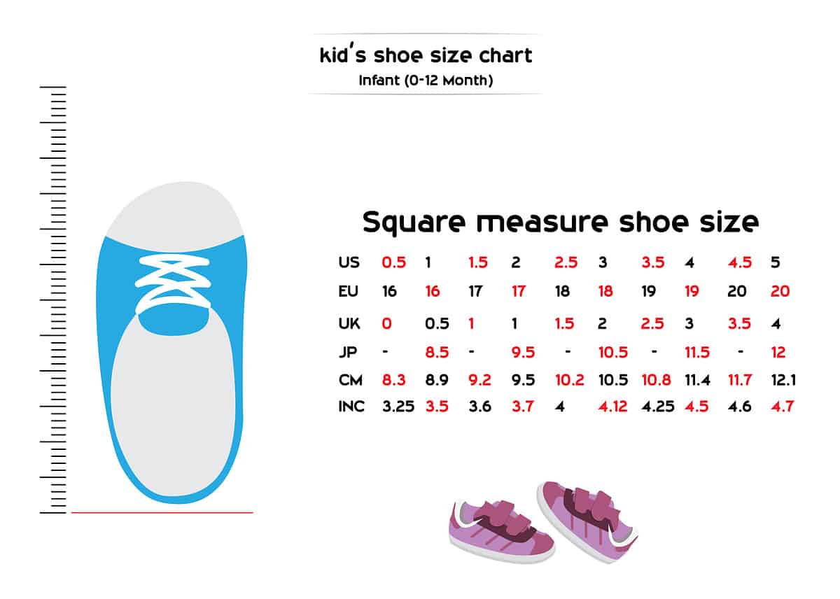 Baby's shoe size chart for 0-12 months