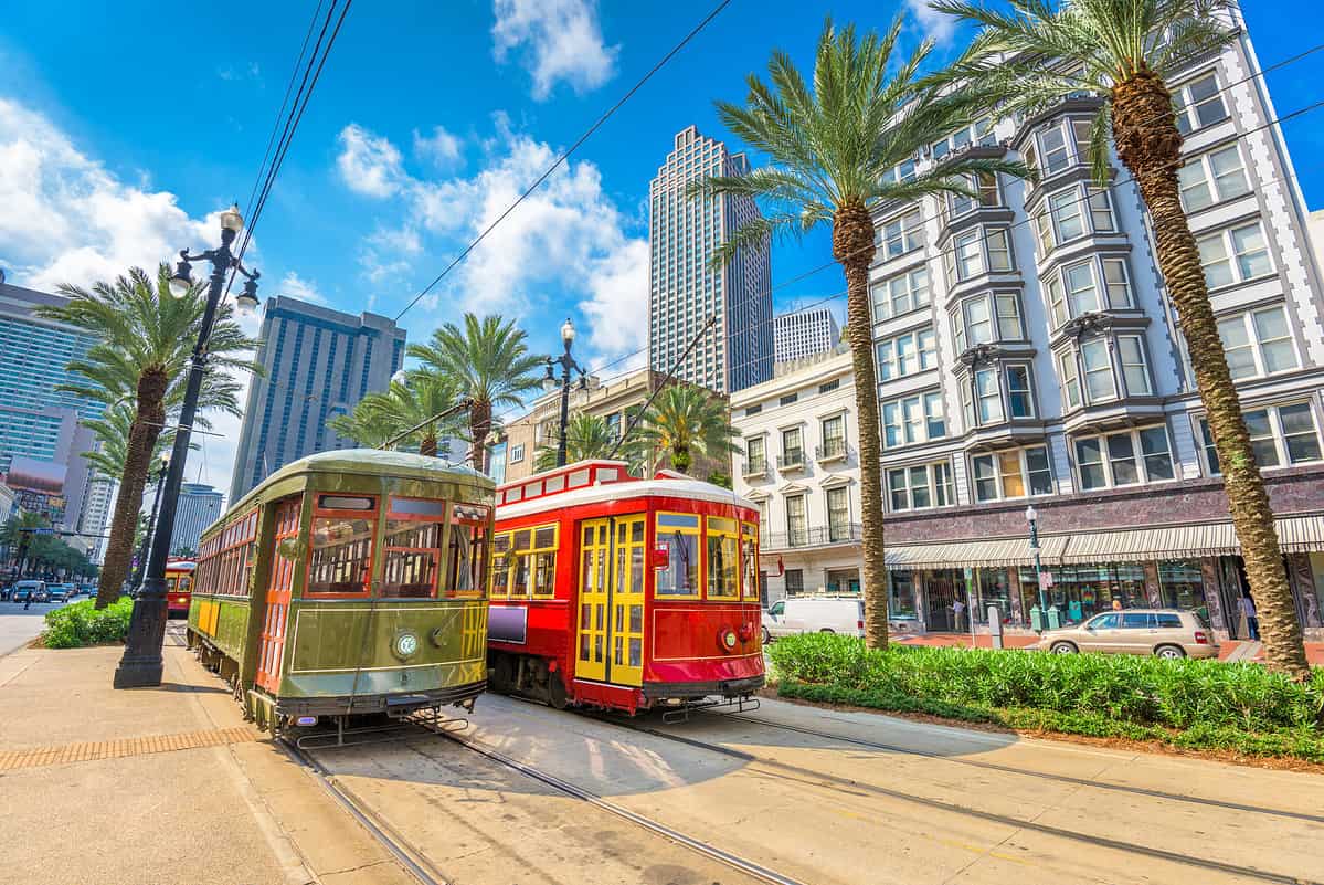 New Orleans city buses 