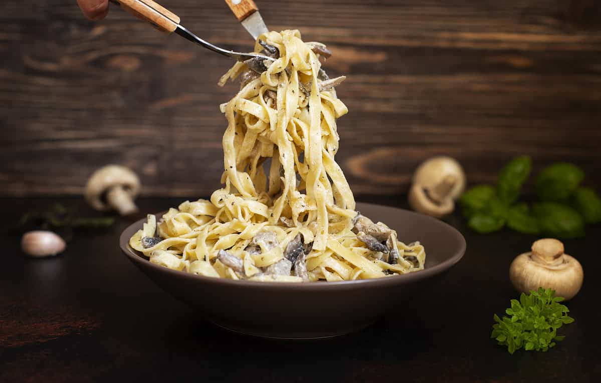 Half and Half vs Heavy Cream in Pasta: What's the Difference and