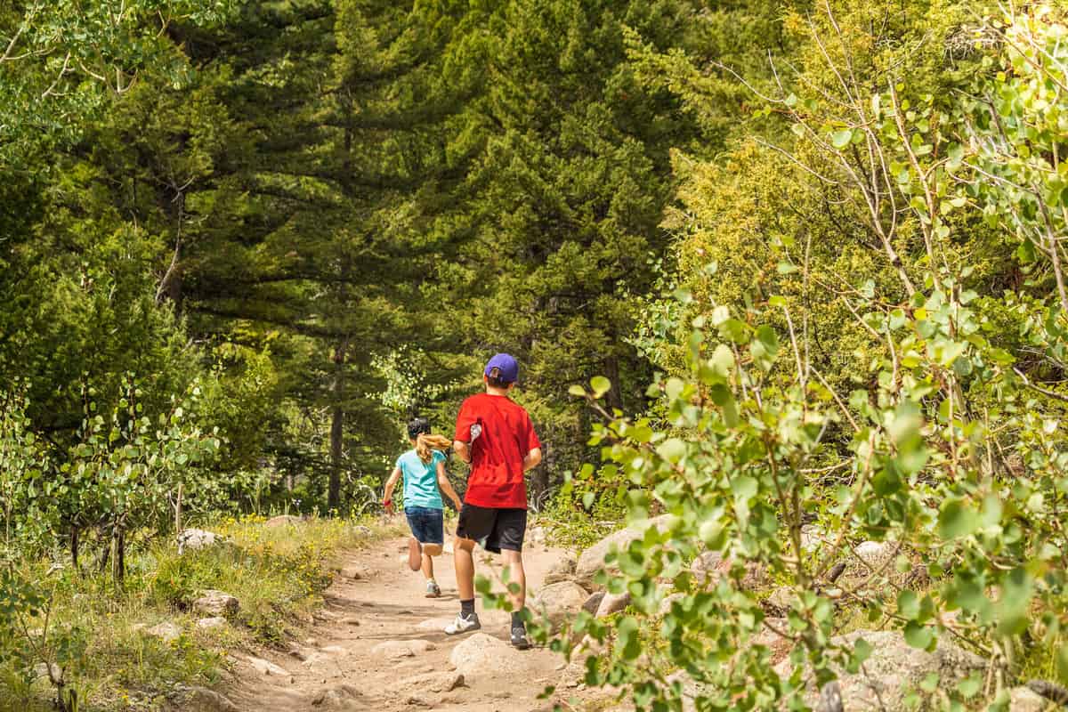 Teenage boy walking in the woods in Colorado in the summer; his sister running in front of him