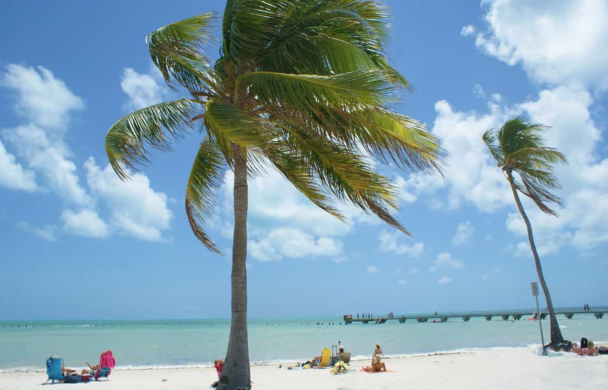 People escaping the cold winter in Key West Florida.