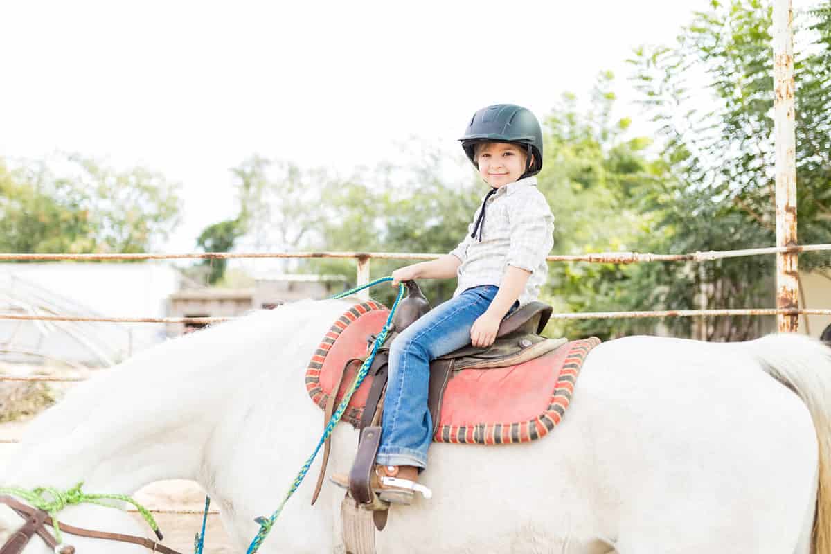 Portrait of confident girl smiling while learning horseback riding at farm