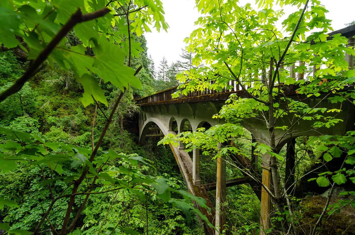 Bridge on historic Highway 30 running through the Columbia River Gorge and a lush green forest