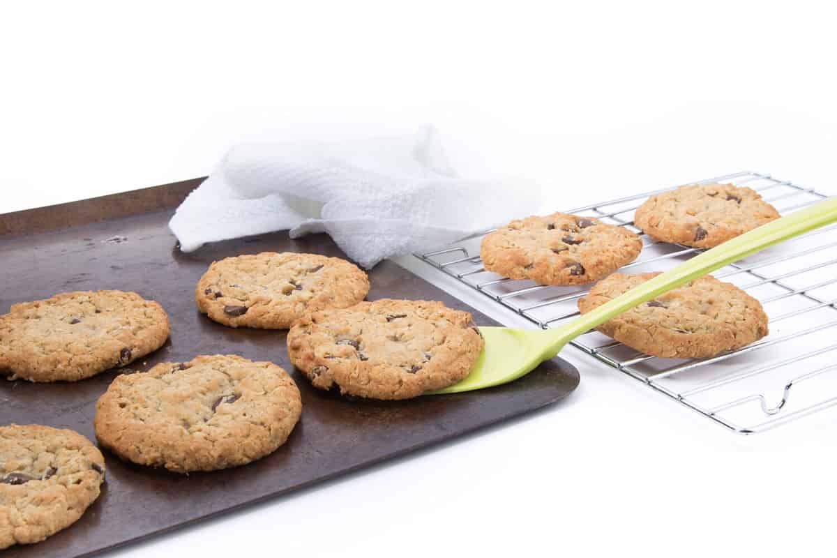 a spatula lifting baked oatmeal raisin cookies from a cookie sheet to place on a cooling rack isolate don white