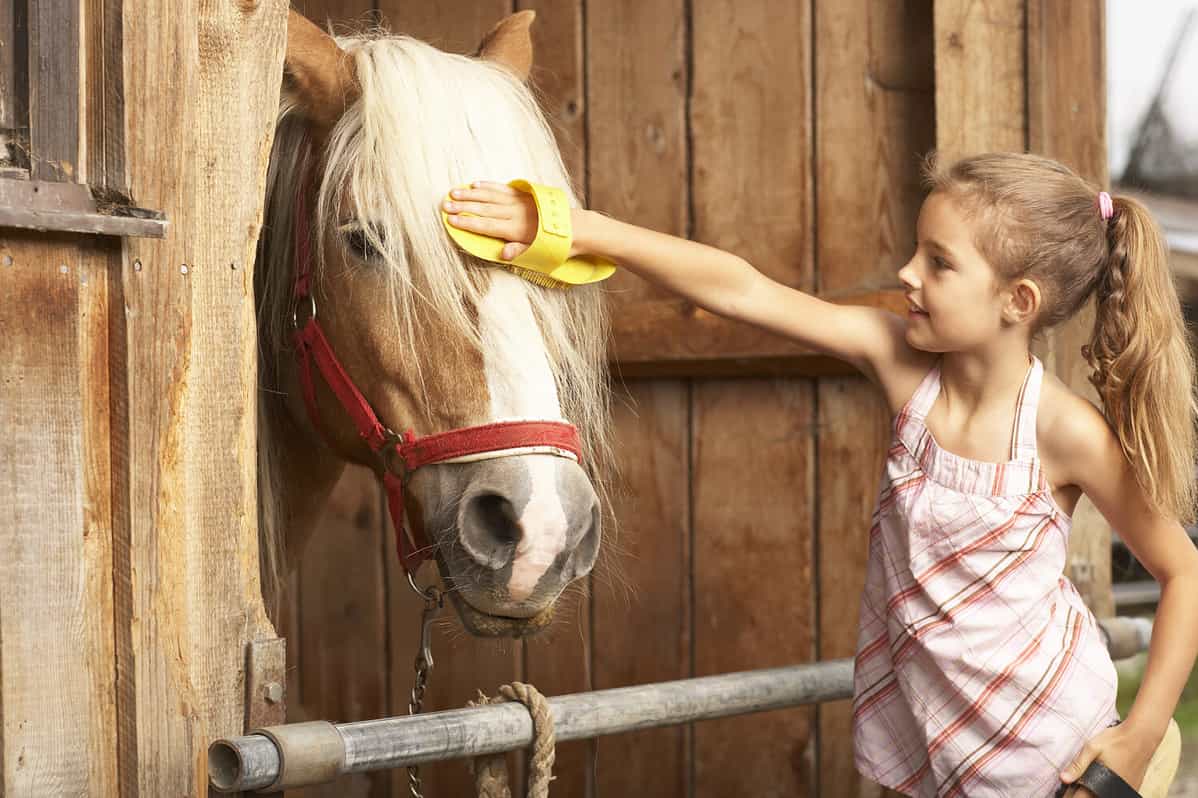 Young girl brushing horse's hair