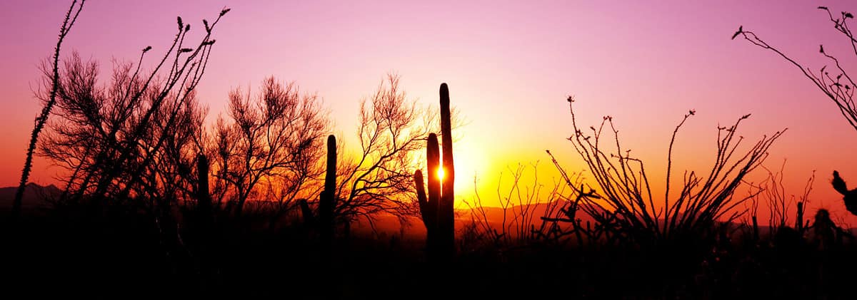 Landscapes over suburb of Tucson.