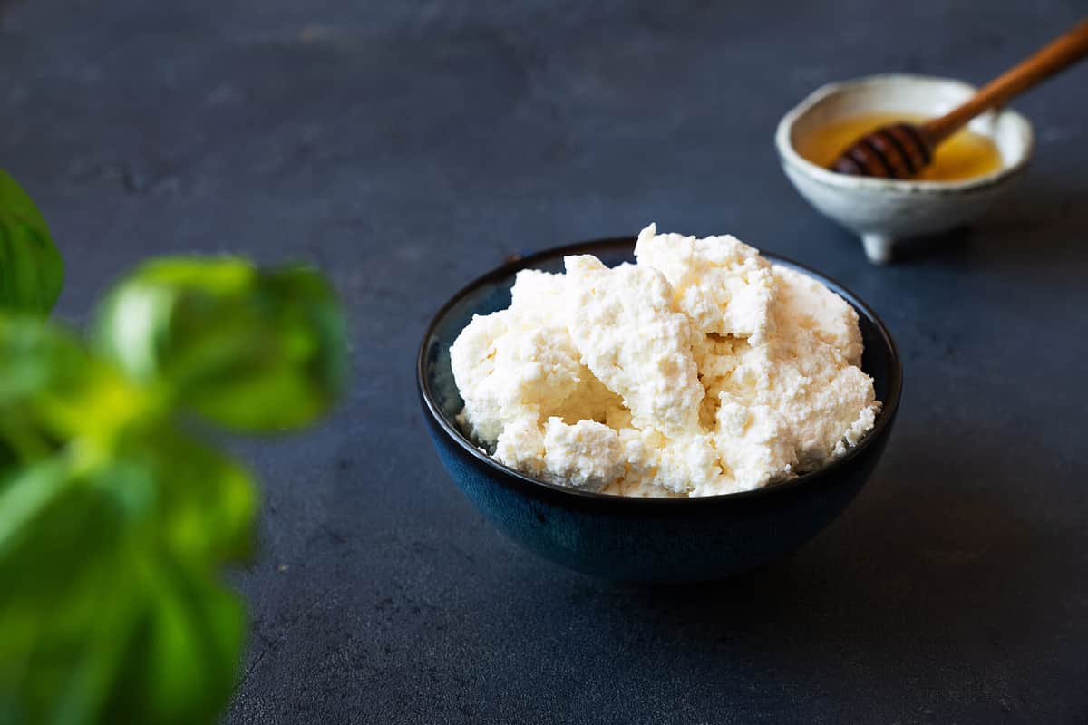 Home made fresh ricotta cheese, quark, cottage cheese, fromage frais with basil and honey. High angle.