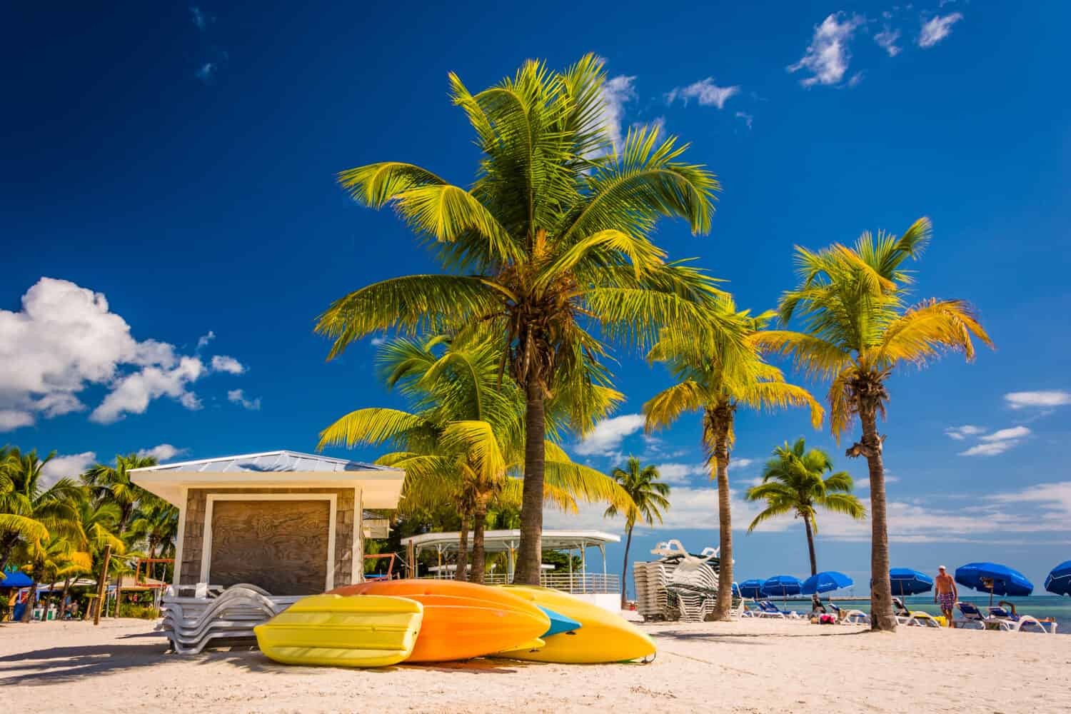 Palm trees on the beach in Key West, Florida.