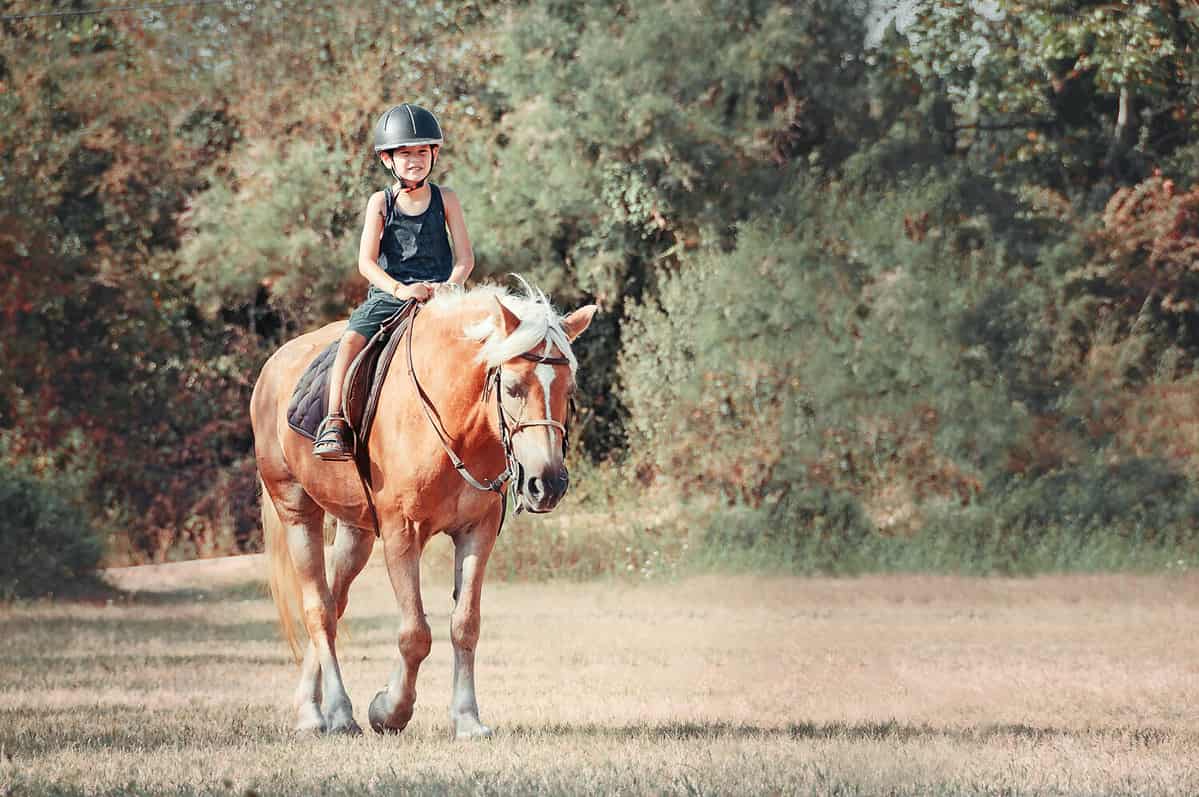 Little boy on the horse.