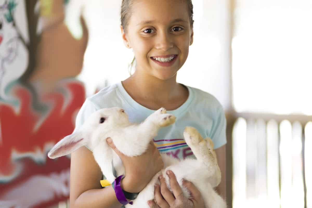 Happy Girl Playing with Rabbit in the Farm