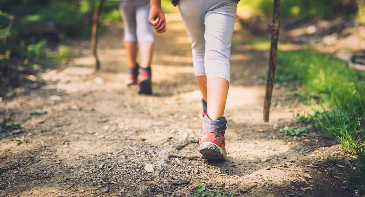 Children hiking in mountains or forest with sport hiking shoes. Girls or boys are walking trough forest path wearing mountain boots and walking sticks. Frog perspective with focus on the shoes.