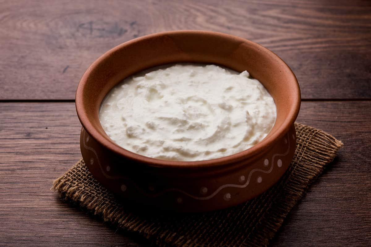Indian curd 