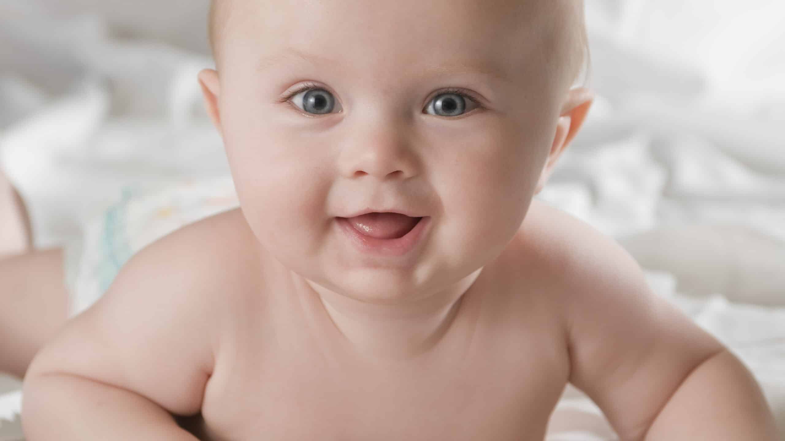 Boy Names That Mean Wolf