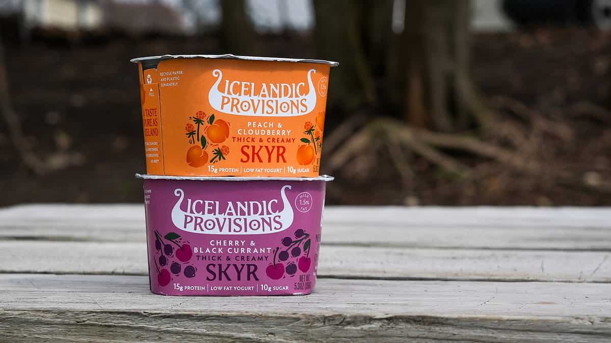 Skyr Yogurt