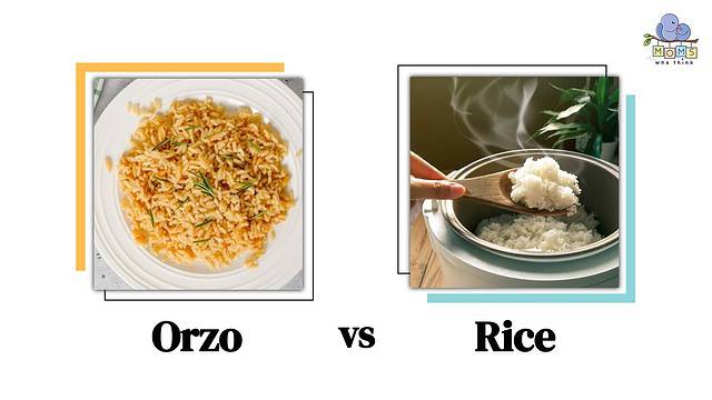 Orzo vs Rice
