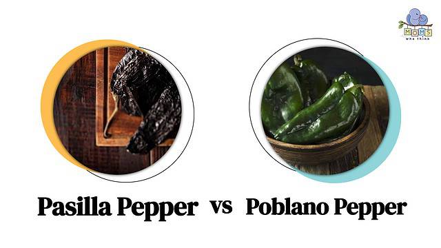 Pasilla Pepper vs Poblano Pepper