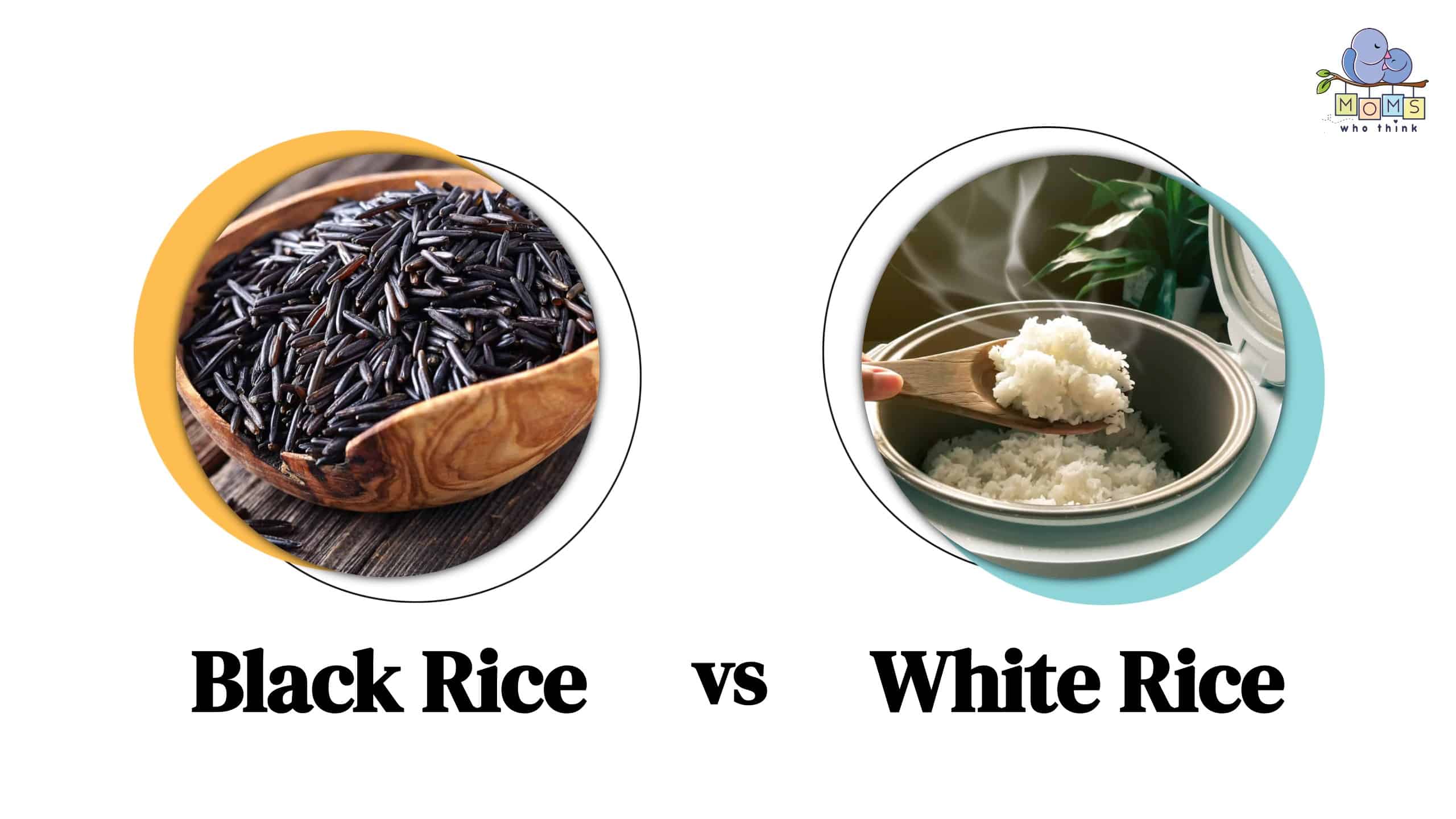 Black Rice vs White Rice