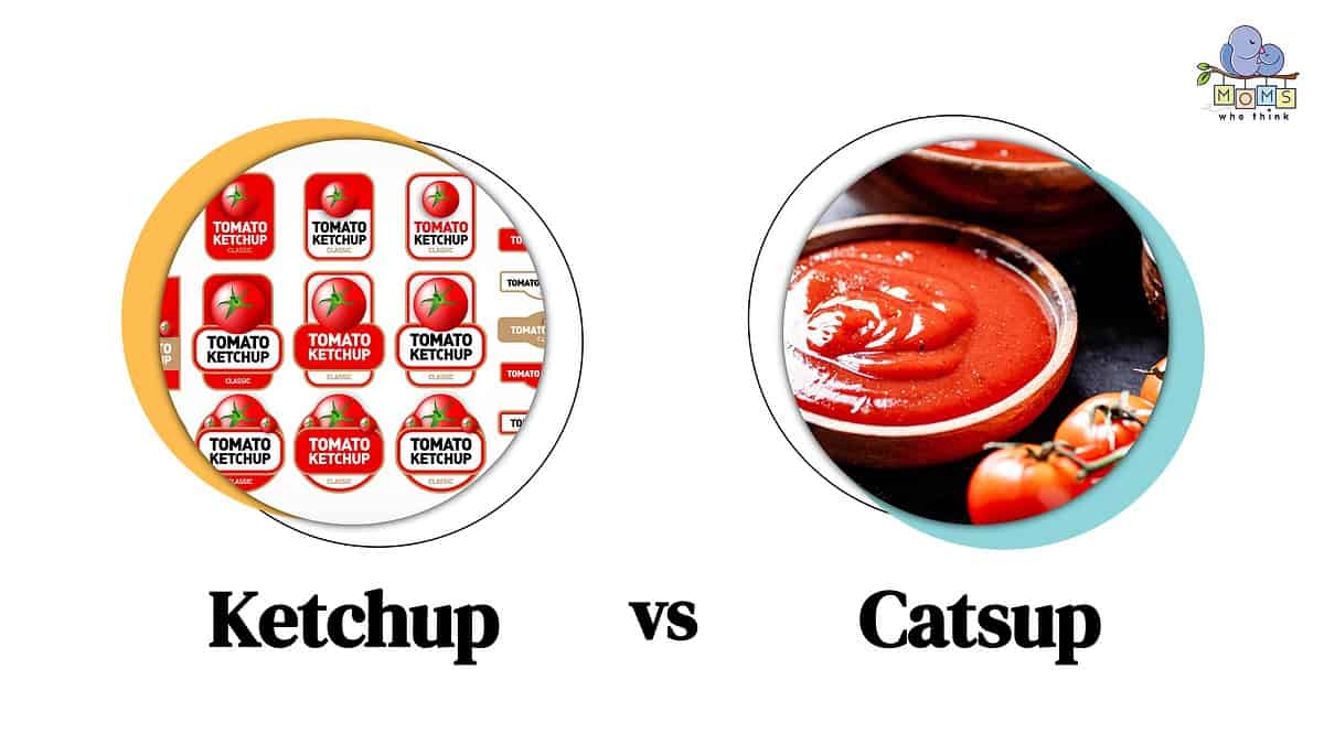 Ketchup vs. Catsup Are There Any Differences or Are They the Same?