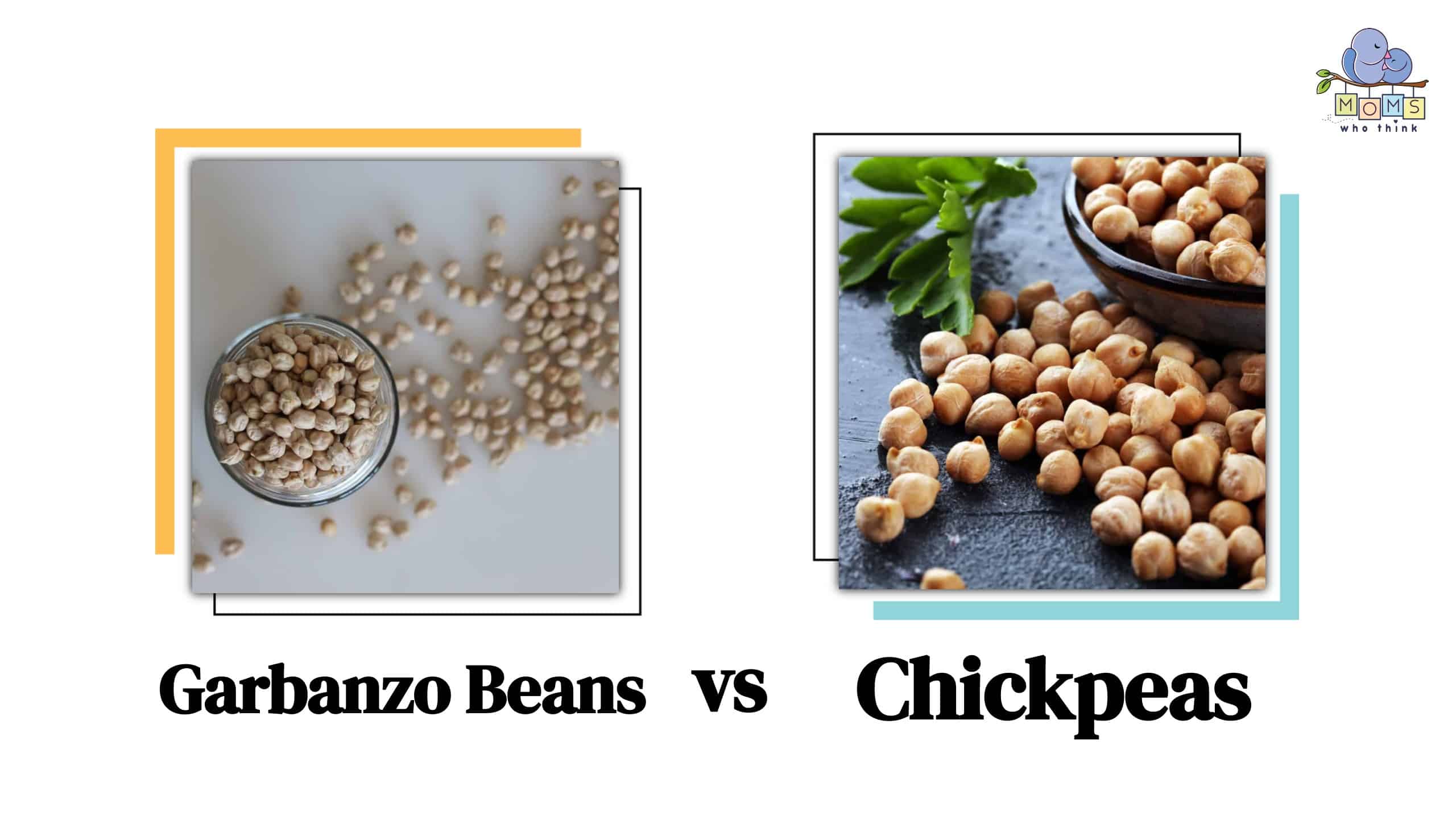 Garbanzo Beans vs Chickpeas