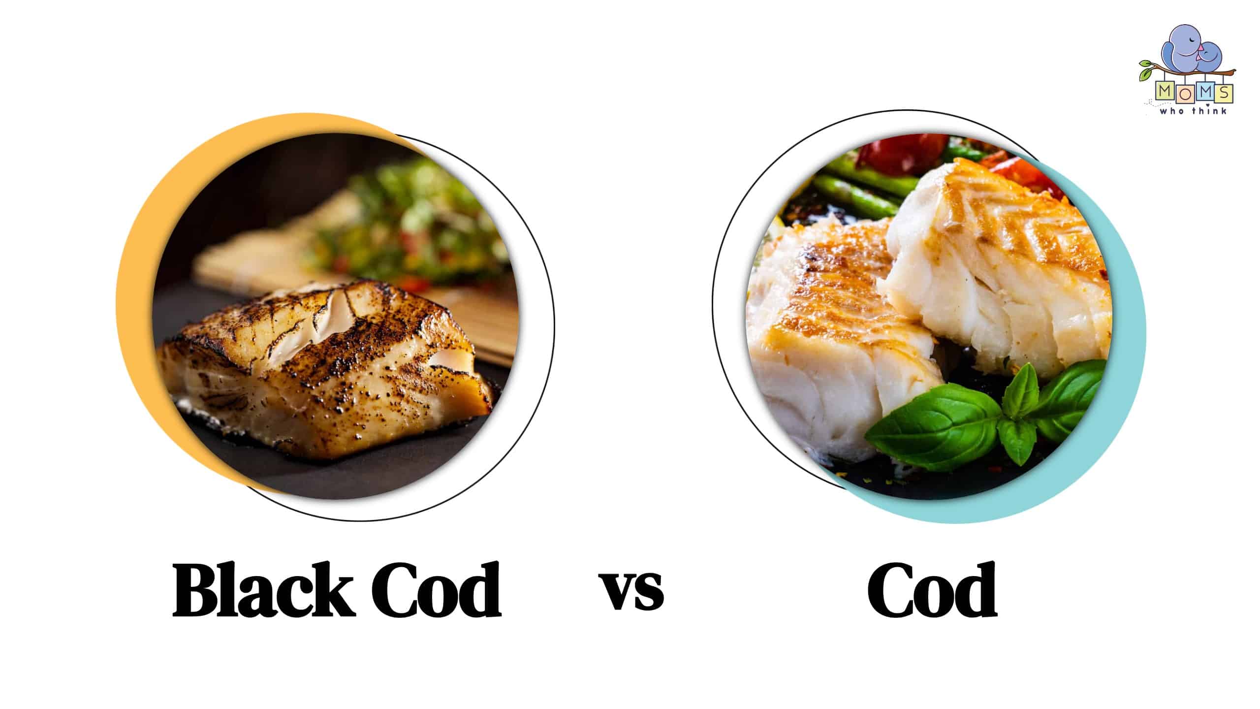Black Cod vs Cod