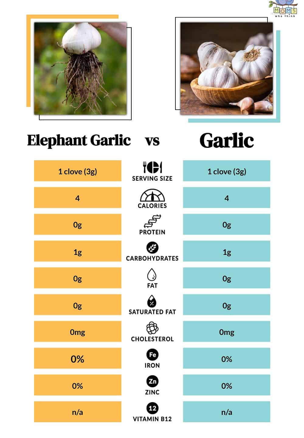 elephant garlic vs regular garlic health benefits