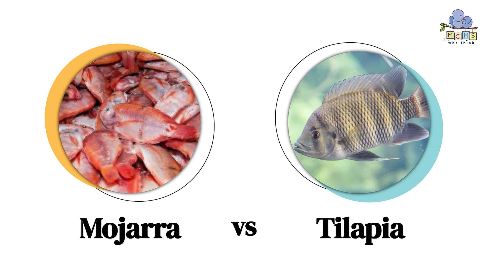 Mojarra vs. Tilapia Food Recipes and Nutritional Value