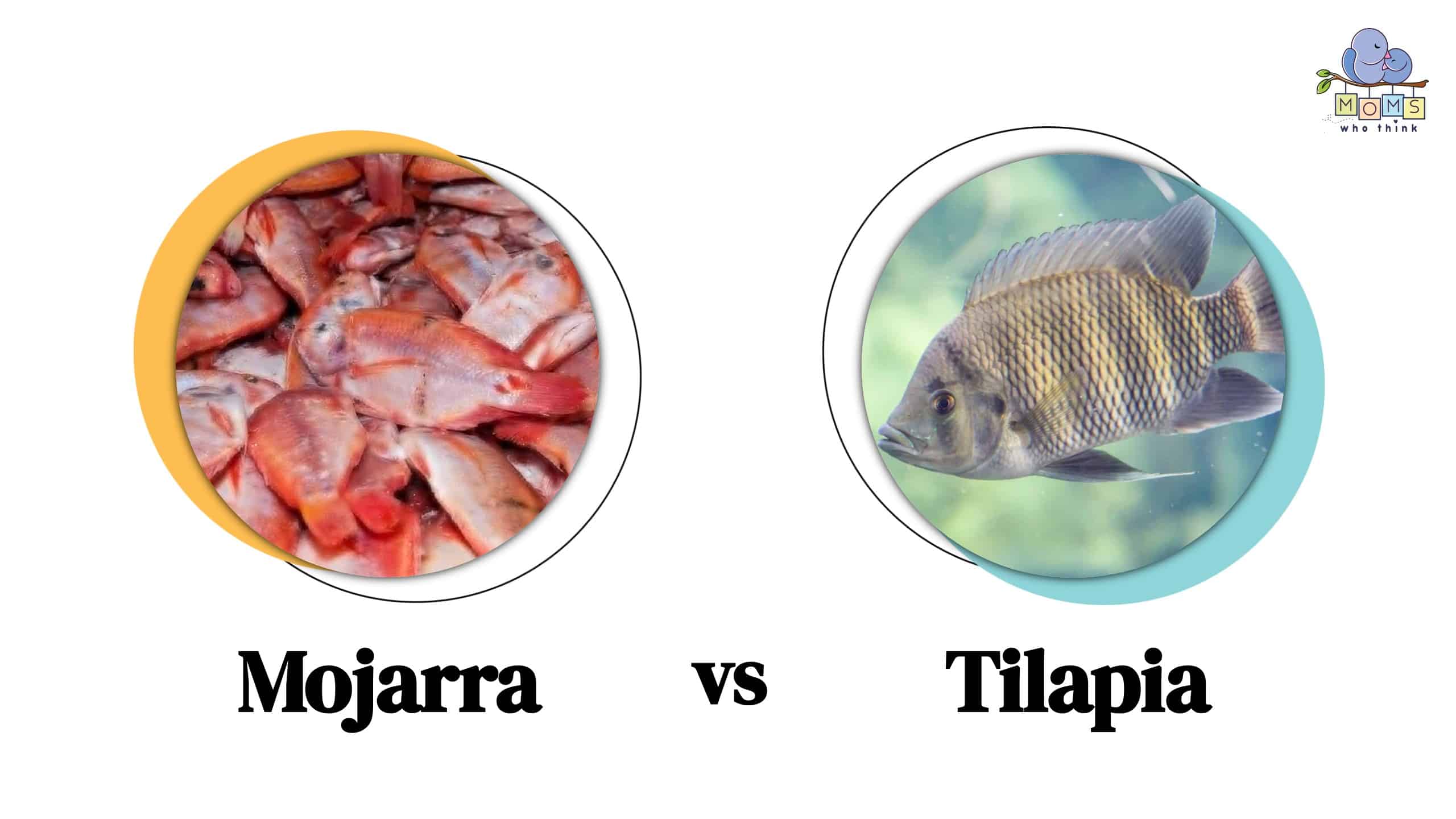 Mojarra vs Tilapia