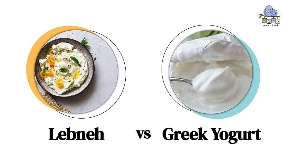 Lebneh vs Greek Yogurt Comparison