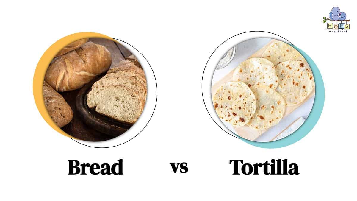 Bread vs. Tortilla Differences in Appearance, Usage, and Baking Style