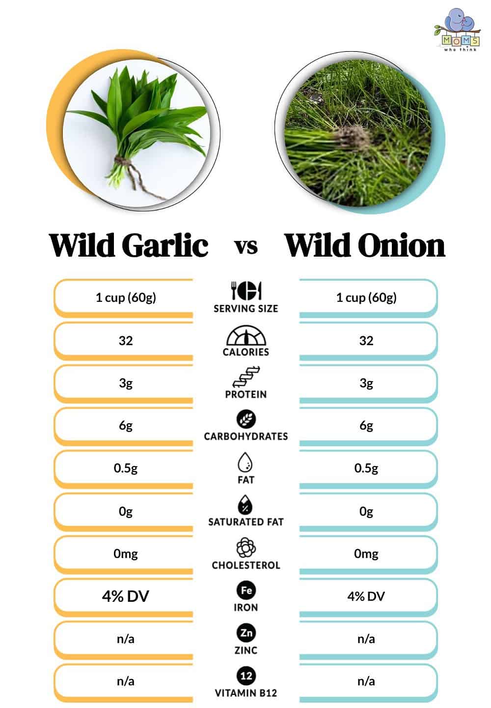 Wild Garlic vs Wild Onion Nutritional Facts