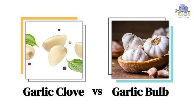 Garlic Clove vs Garlic Bulb