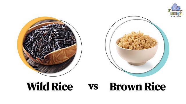 Wild Rice vs Brown Rice