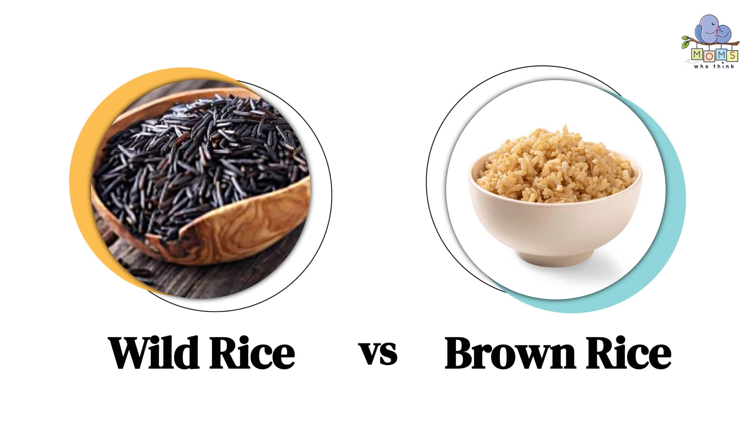 Wild Rice vs Brown Rice