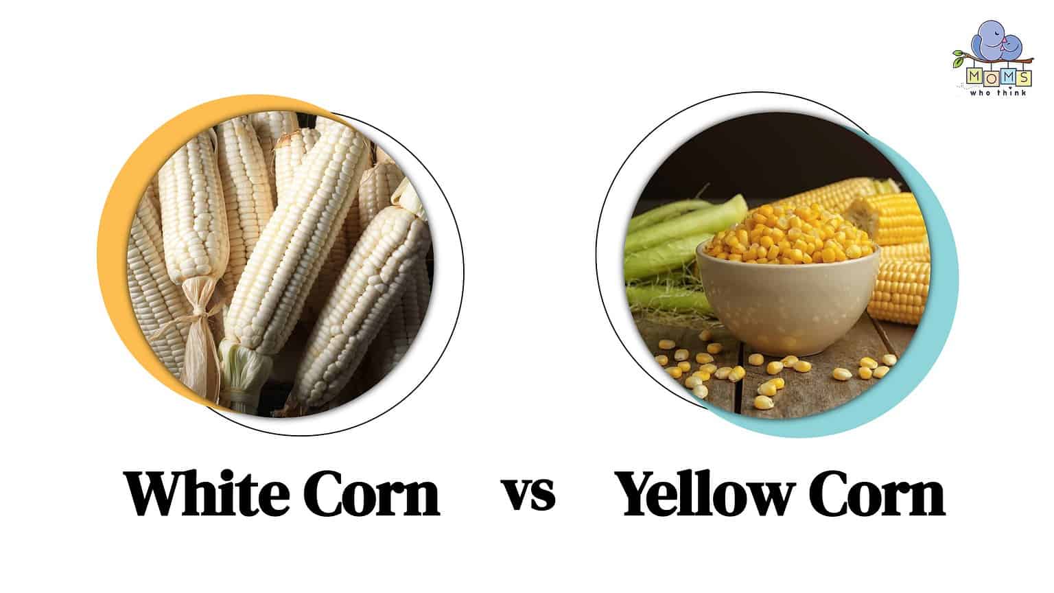 White Corn vs Yellow Corn Is One Sweeter Than the Other?