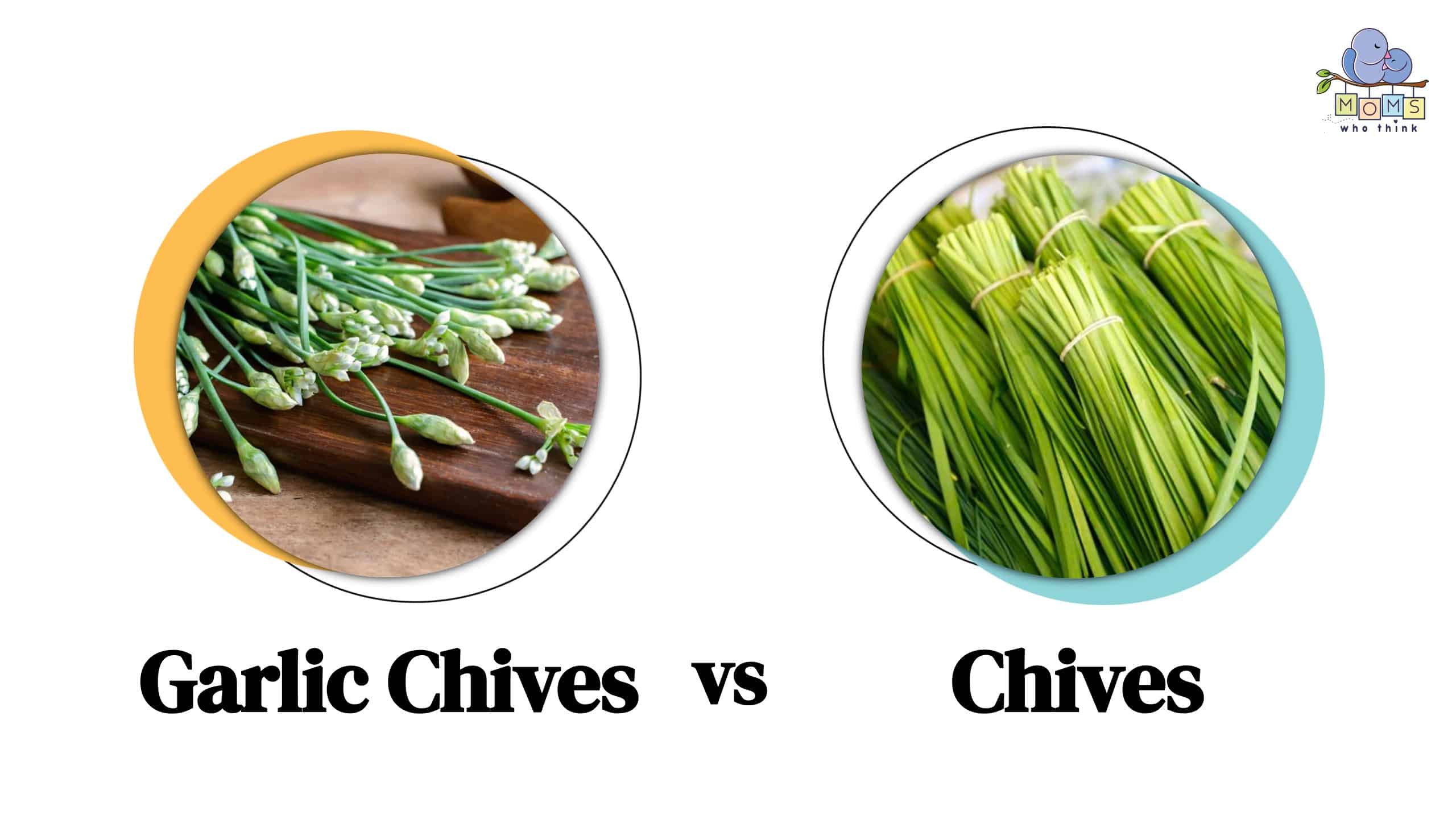 Garlic Chives vs. Chives: What is the Difference?